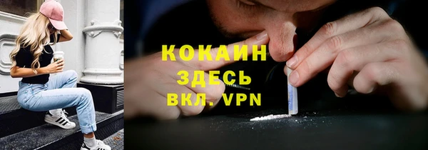 PSILOCYBIN Волосово
