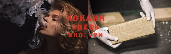 гидра Верхний Тагил