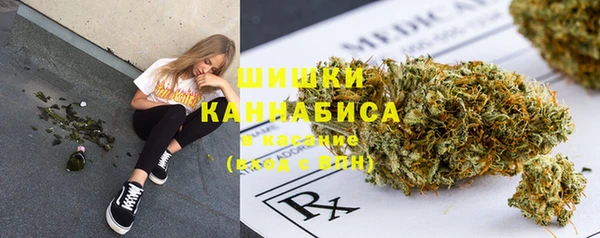 PSILOCYBIN Волосово