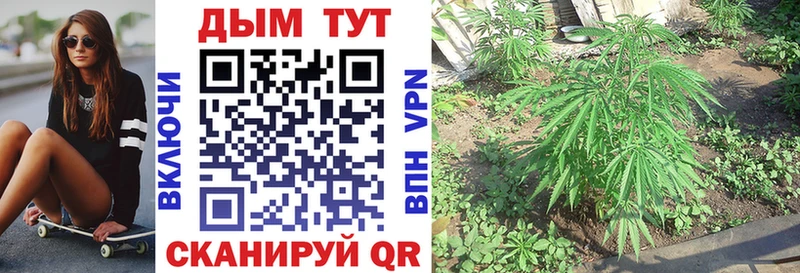 МАРИХУАНА тримм  даркнет состав  Истра 